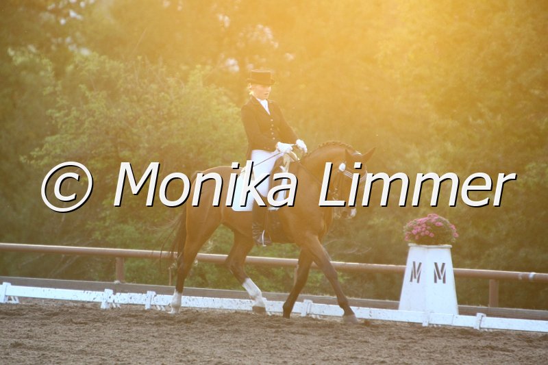 109M5313_Zidane S_Dressurpferde M.JPG